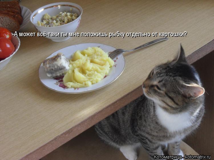Котоматрица: -А может всё-таки ты мне положишь рыбку отдельно от картошки?