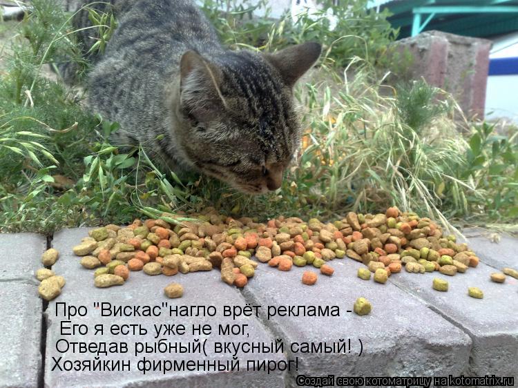 Котоматрица: Про "Вискас"нагло врёт реклама - Его я есть уже не мог, Отведав рыбный( вкусный самый! ) Хозяйкин фирменный пирог!