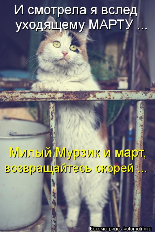 Котоматрица: И смотрела я вслед уходящему МАРТУ ... Милый Мурзик и март, возвращайтесь скорей ...