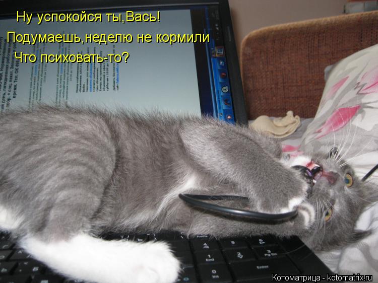 Котоматрица: Ну успокойся ты,Вась! Подумаешь,неделю не кормили Что психовать-то?