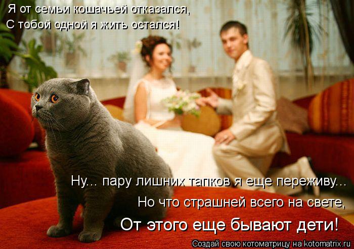 Котоматрица: Я от семьи кошачьей отказался, С тобой одной я жить остался! От этого еще бывают дети! Но что страшней всего на свете, Ну... пару лишних тапков 