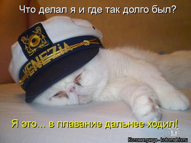Котоматрица: Что делал я и где так долго был? Я это... в плавание дальнее ходил!