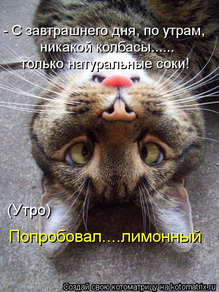 никакой колбасы...... только натуральные соки! (Утро) Попробовал....лимонный - С завтрашнего дня, по ... Котоматрица: никакой колбасы...... только натуральные соки! (Утро) Попробовал....лимонный - С завтрашнего дня, по утрам,