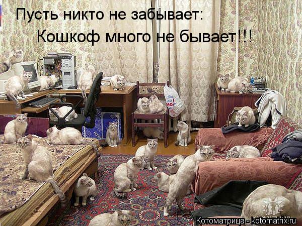 Пусть никто не забывает: Кошкоф много не бывает!!!... Котоматрица: Пусть никто не забывает: Кошкоф много не бывает!!!