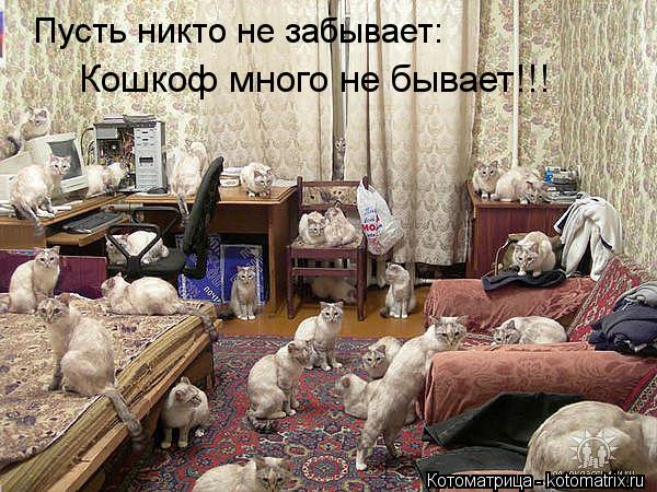 Котоматрица: Пусть никто не забывает: Кошкоф много не бывает!!!