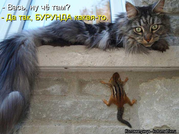 - Вась, ну чё там? - Да так, БУРУНДА какая-то.... Котоматрица: - Вась, ну чё там? - Да так, БУРУНДА какая-то.