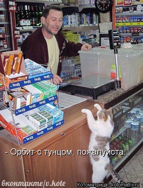 Котоматрица: - Орбит с тунцом, пожалуйста...