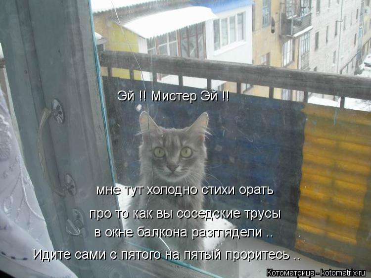 Котоматрица: мне тут холодно стихи орать про то как вы соседские трусы  в окне балкона разглядели .. Идите сами с пятого на пятый проритесь .. Эй !! Мистер Э