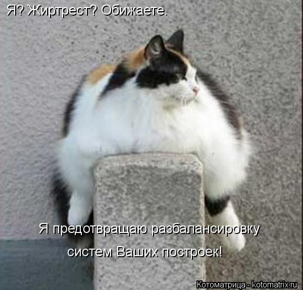 Котоматрица: Я? Жиртрест? Обижаете. Я предотвращаю разбалансировку систем Ваших построек!