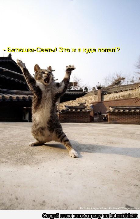 Котоматрица: - Батюшки-Светы! Это ж я куда попал!?