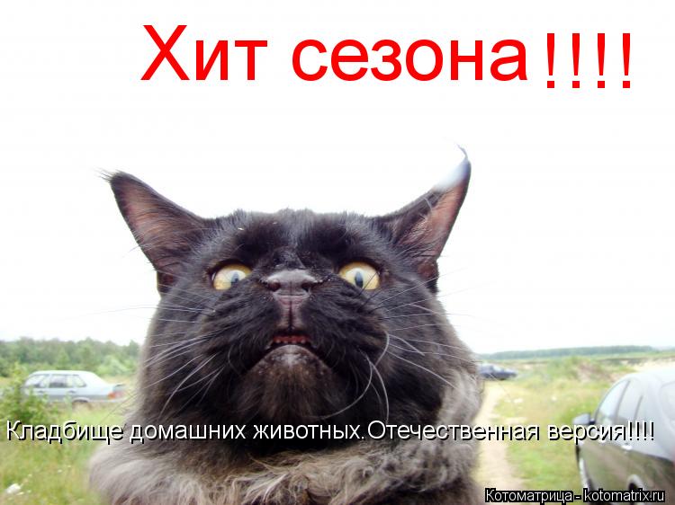 Хит сезона !!!! Кладбище домашних животных.Отечественная версия!!!!... Котоматрица: Хит сезона !!!! Кладбище домашних животных.Отечественная версия!!!!