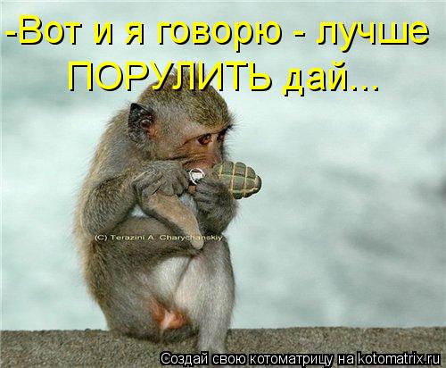 -Вот и я говорю - лучше ПОРУЛИТЬ дай...... Котоматрица: -Вот и я говорю - лучше ПОРУЛИТЬ дай...