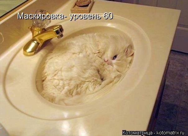Котоматрица: Маскировка- уровень 60