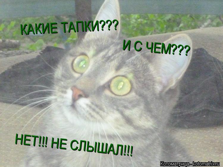 КАКИЕ ТАПКИ??? И С ЧЕМ??? НЕТ!!! НЕ СЛЫШАЛ!!!... Котоматрица: КАКИЕ ТАПКИ??? И С ЧЕМ??? НЕТ!!! НЕ СЛЫШАЛ!!!
