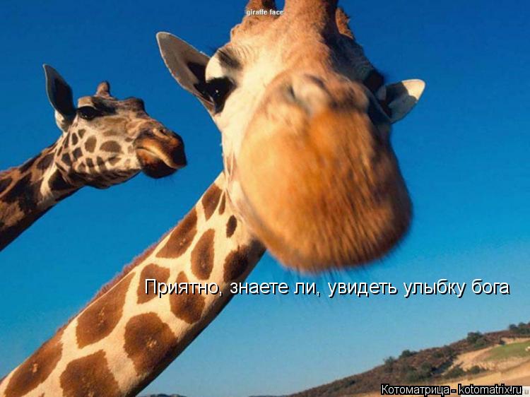Котоматрица: Приятно, знаете ли, увидеть улыбку бога
