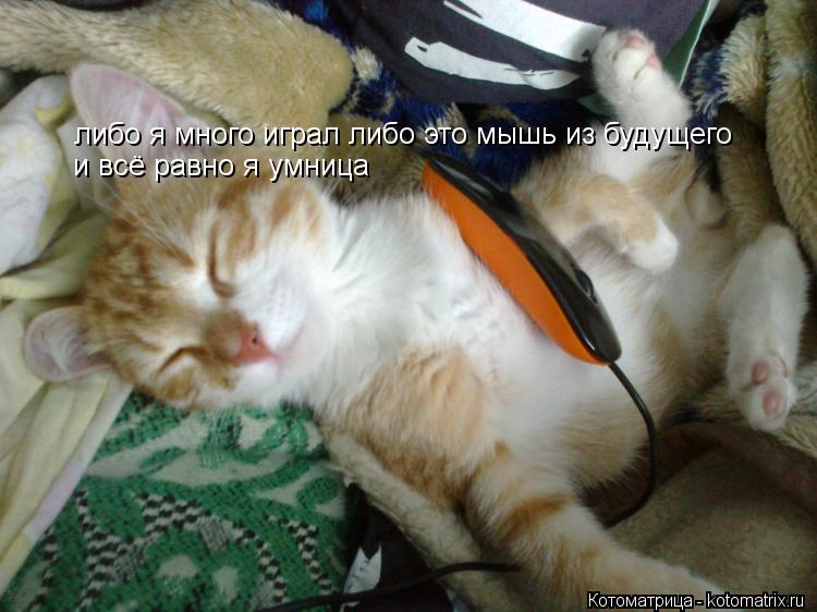 Котоматрица: либо я много играл либо это мышь из будущего и всё равно я умница