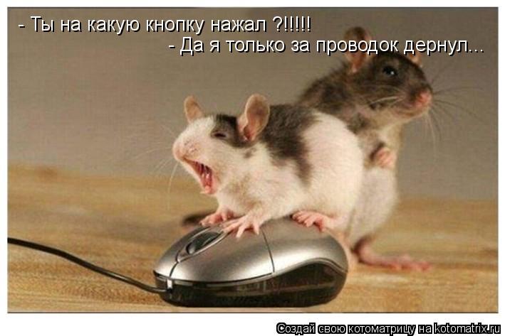 - Ты на какую кнопку нажал ?!!!!! - Да я только за проводок дернул...... Котоматрица: - Ты на какую кнопку нажал ?!!!!! - Да я только за проводок дернул...