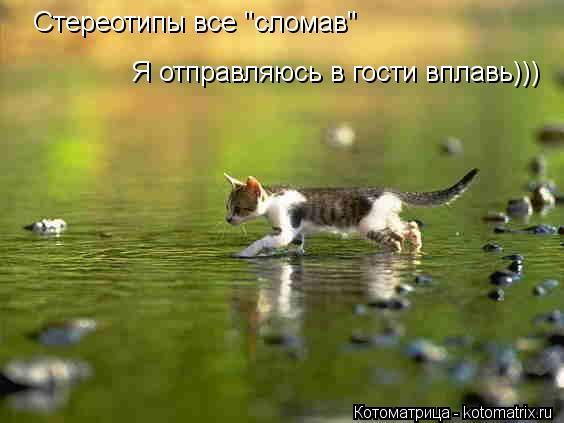 Котоматрица: Стереотипы все "сломав" Я отправляюсь в гости вплавь)))