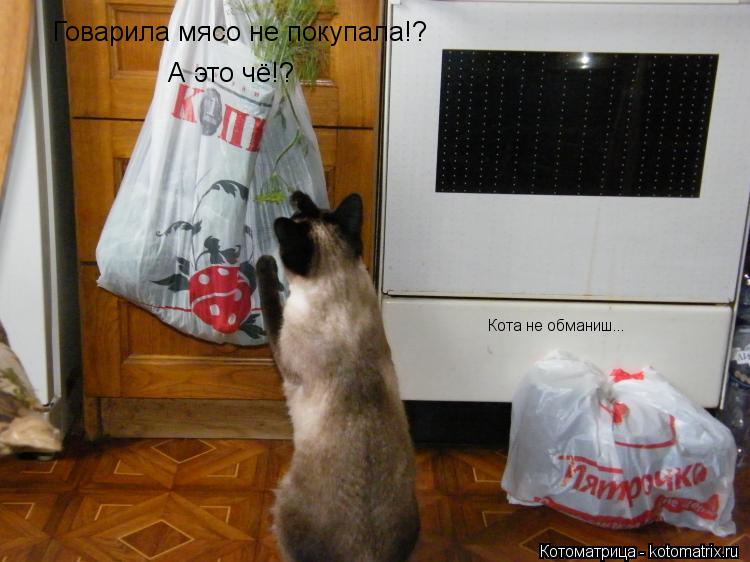 Котоматрица: Говарила мясо не покупала!? А это чё!? Кота не обманиш...