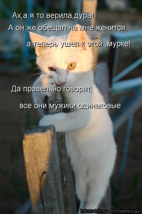 Ах,а я то верила,дура! А он же обещал на мне женится, а теперь ушел к этой ,мурке! Да правельно говор... Котоматрица: Ах,а я то верила,дура! А он же обещал на мне женится, а теперь ушел к этой ,мурке! Да правельно говорят, все они мужики одинаковые