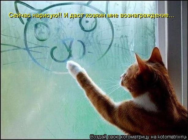 Котоматрица: Сейчас нарисую!! И даст хозяин мне вознаграждение...