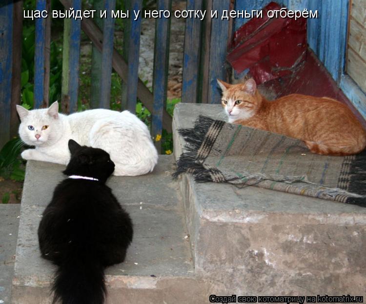 Котоматрица: щас выйдет и мы у него сотку и деньги отберём