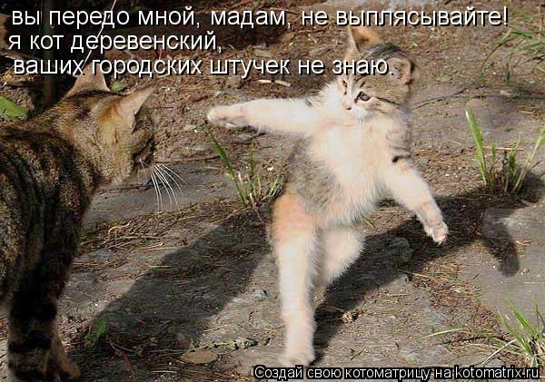 вы передо мной, мадам, не выплясывайте! я кот деревенский, ваших городских штучек не знаю.... Котоматрица: вы передо мной, мадам, не выплясывайте! я кот деревенский, ваших городских штучек не знаю.