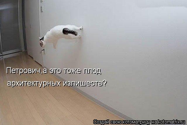 Петрович,а это тоже плод архитектурных излишеств?... Котоматрица: Петрович,а это тоже плод архитектурных излишеств?