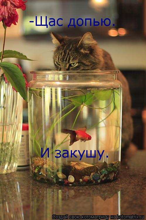 -Щас допью. И закушу.... Котоматрица: -Щас допью. И закушу.