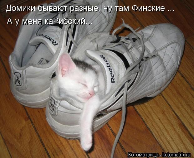 Домики бывают разные, ну там Финские ... А у меня каРибский...... Котоматрица: Домики бывают разные, ну там Финские ... А у меня каРибский...
