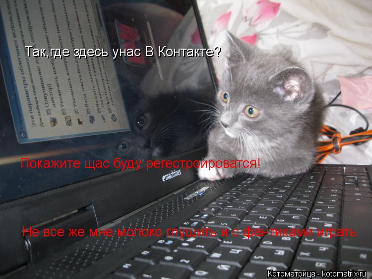 Так,где здесь унас В Контакте? Покажите щас буду регестроироватся! Не все же мне молоко глушить и с ф... Котоматрица: Так,где здесь унас В Контакте? Покажите щас буду регестроироватся! Не все же мне молоко глушить и с фантиками играть