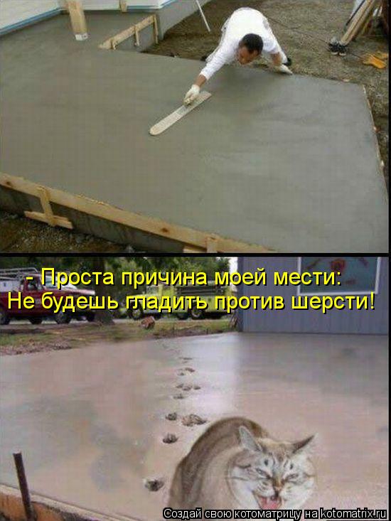 - Проста причина моей мести: Не будешь гладить против шерсти!... Котоматрица: - Проста причина моей мести: Не будешь гладить против шерсти!