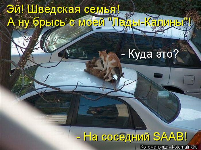 Эй! Шведская семья! А ну брысь с моей "Лады-Калины"! - Куда это? - На соседний SAAB!... Котоматрица: Эй! Шведская семья! А ну брысь с моей "Лады-Калины"! - Куда это? - На соседний SAAB!