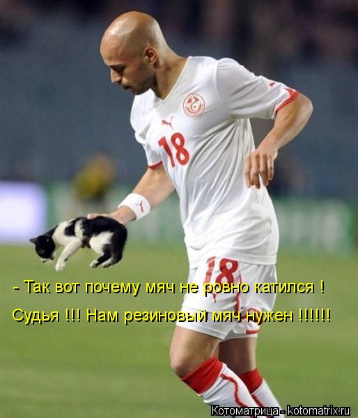 Котоматрица: - Так вот почему мяч не ровно катился ! Судья !!! Нам резиновый мяч нужен !!!!!!
