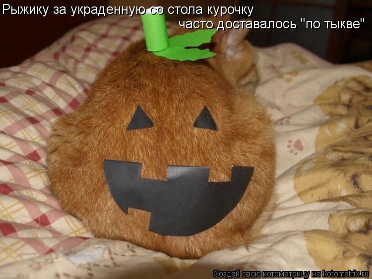 Рыжику за украденную со стола курочку часто доставалось "по тыкве"... Котоматрица: Рыжику за украденную со стола курочку часто доставалось "по тыкве"