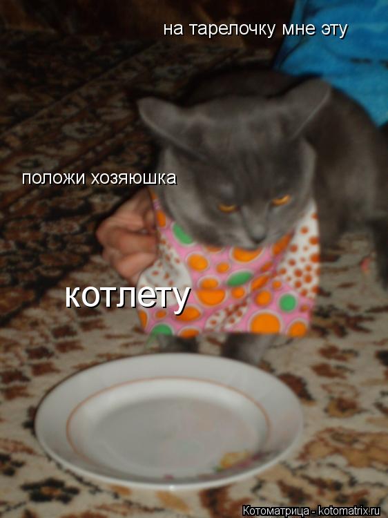 Котоматрица: на тарелочку мне эту положи хозяюшка  котлету