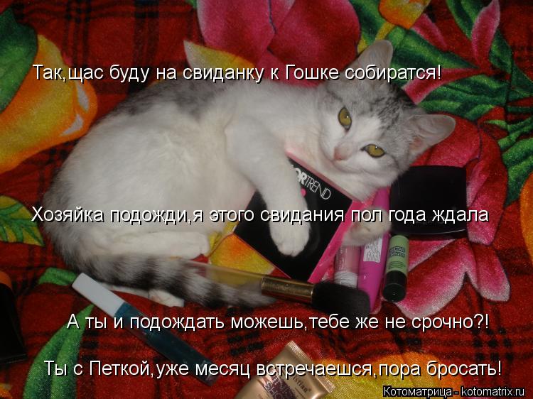 Так,щас буду на свиданку к Гошке собиратся! Хозяйка подожди,я этого свидания пол года ждала А ты и по... Котоматрица: Так,щас буду на свиданку к Гошке собиратся! Хозяйка подожди,я этого свидания пол года ждала А ты и подождать можешь,тебе же не срочно?! Ты с П