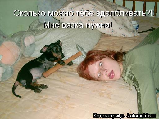 Сколько можно тебе вдалбливать?! Мне вязка нужна!... Котоматрица: Сколько можно тебе вдалбливать?! Мне вязка нужна!