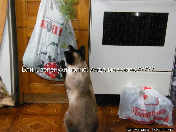 Блин, зеленухи полно. А где моё мясо?????... Котоматрица: Блин, зеленухи полно. А где моё мясо?????