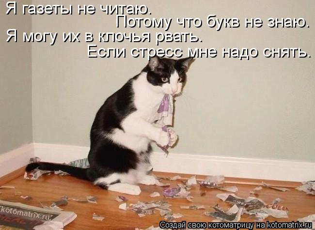 Потому что букв не знаю. Я газеты не читаю. Я могу их в клочья рвать. Если стресс мне надо снять.... Котоматрица: Потому что букв не знаю. Я газеты не читаю. Я могу их в клочья рвать. Если стресс мне надо снять.