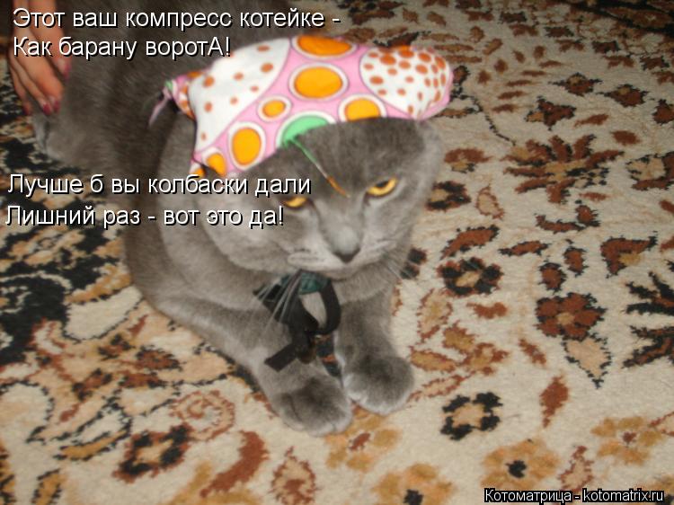 Этот ваш компресс котейке - Как барану воротА! Лучше б вы колбаски дали Лишний раз - вот это да!... Котоматрица: Этот ваш компресс котейке - Как барану воротА! Лучше б вы колбаски дали Лишний раз - вот это да!
