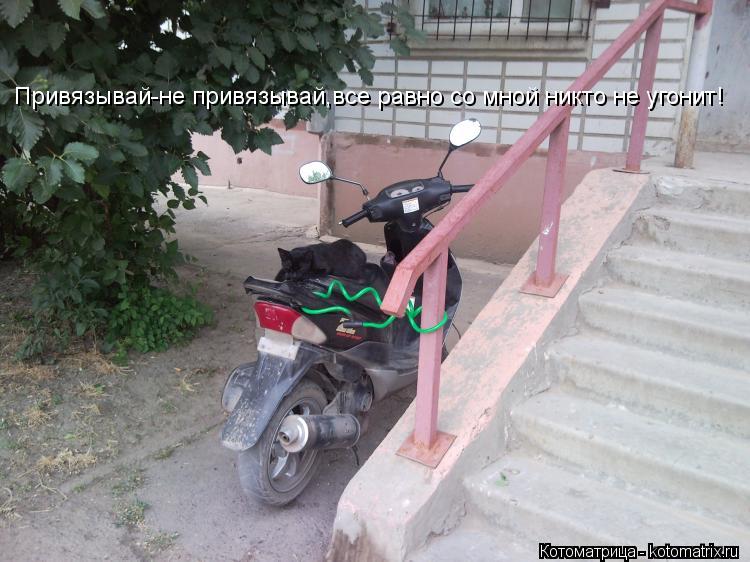 Привязывай-не привязывай,все равно со мной никто не угонит!... Котоматрица: Привязывай-не привязывай,все равно со мной никто не угонит!