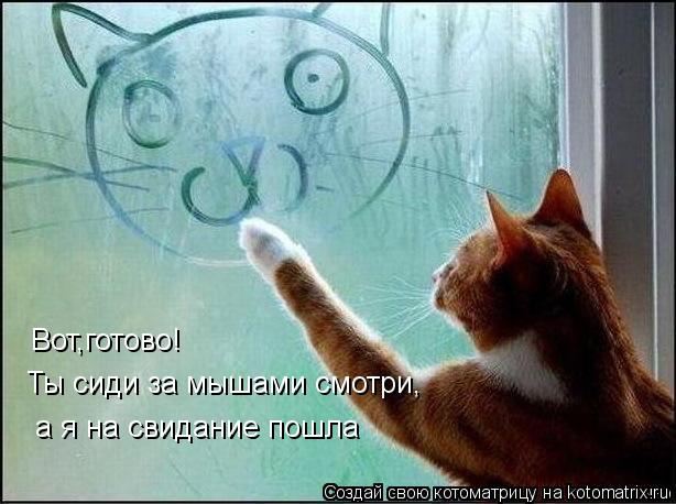 Котоматрица: Вот,готово! Ты сиди за мышами смотри, а я на свидание пошла