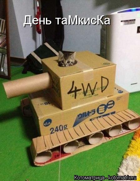 День таМкисКа... Котоматрица: День таМкисКа