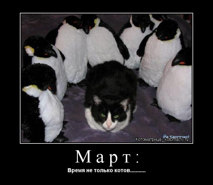 Март: Время не только котов.............. Котоматрица: Март: Время не только котов...........