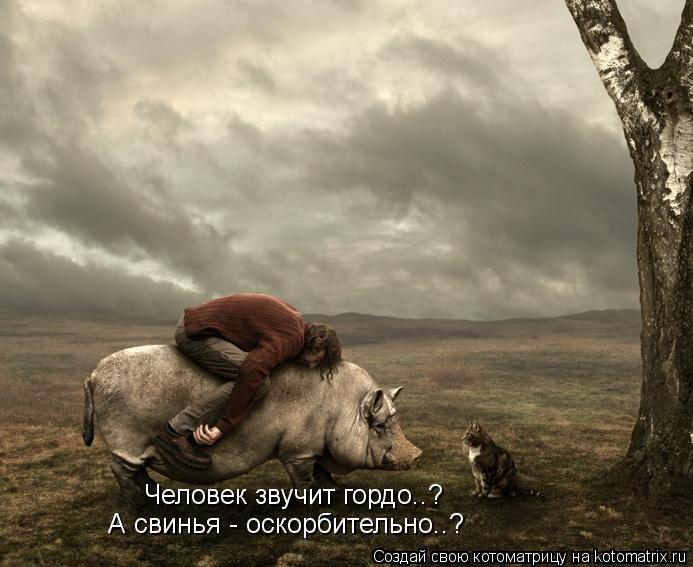 Человек звучит гордо..? А свинья - оскорбительно..?... Котоматрица: Человек звучит гордо..? А свинья - оскорбительно..?