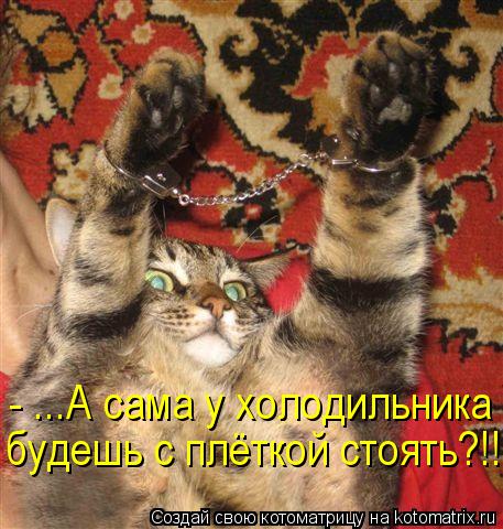- ...А сама у холодильника будешь с плёткой стоять?!!... Котоматрица: - ...А сама у холодильника будешь с плёткой стоять?!!