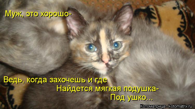 Муж, это хорошо- Ведь, когда захочешь и где Найдется мягкая подушка- Под ушко...... Котоматрица: Муж, это хорошо- Ведь, когда захочешь и где Найдется мягкая подушка- Под ушко...
