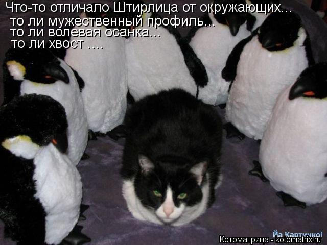 Что-то отличало Штирлица от окружающих... то ли мужественный профиль... то ли волевая осанка... то ли... Котоматрица: Что-то отличало Штирлица от окружающих... то ли мужественный профиль... то ли волевая осанка... то ли хвост ....