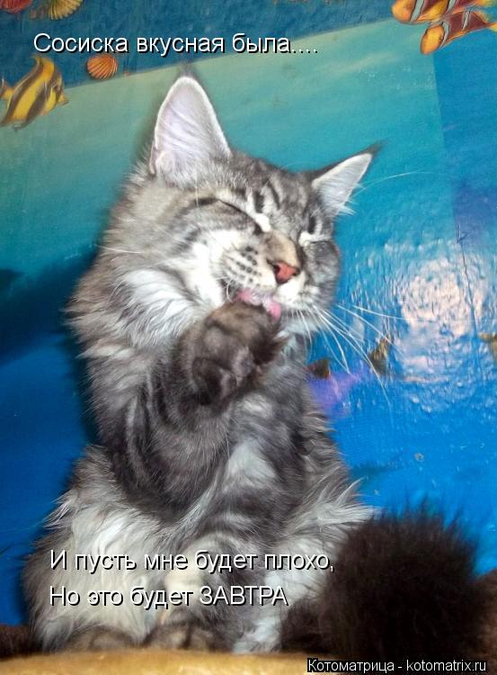 Сосиска вкусная была.... И пусть мне будет плохо, Но это будет ЗАВТРА... Котоматрица: Сосиска вкусная была.... И пусть мне будет плохо, Но это будет ЗАВТРА